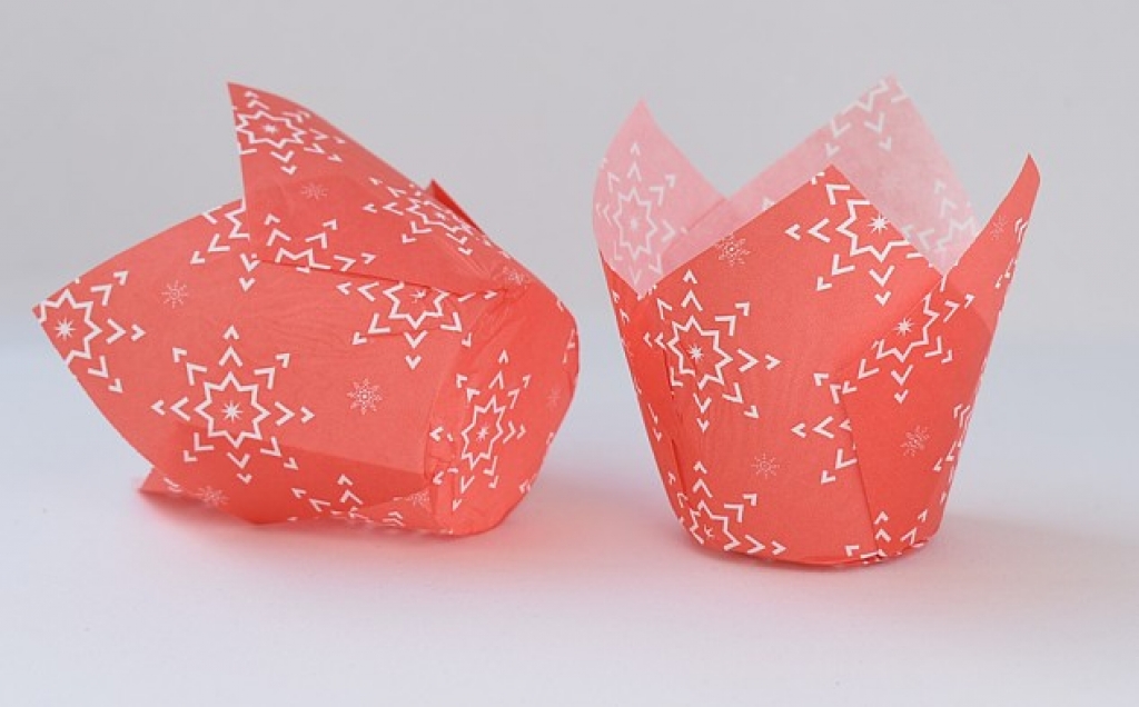 Tulip VLOČKY
